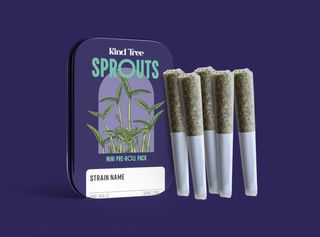 Cherry Slushee Kind Tree