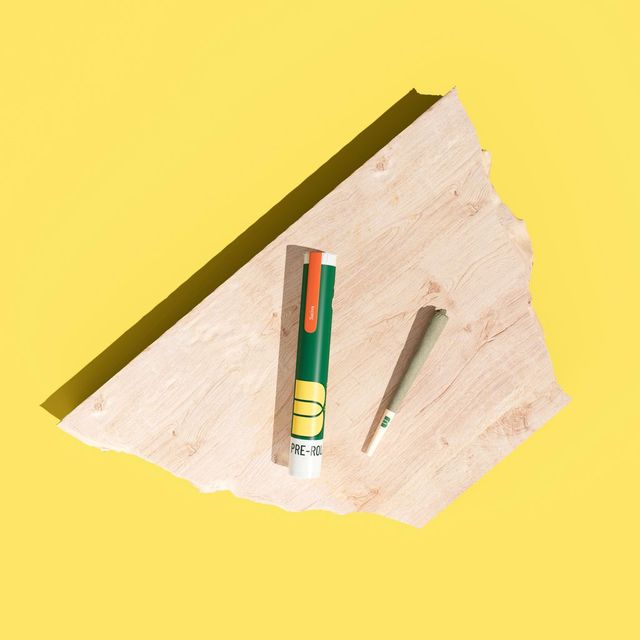 Cherry Dutch Treat Botanist