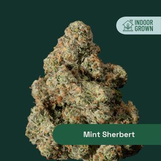 Mint Sherbert Botanist