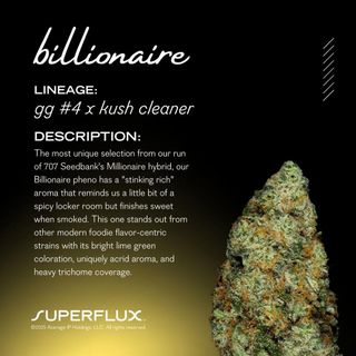 Billionaire Superflux