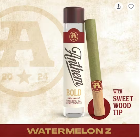Anthem BOLD Watermelon Z Infused Pre-Rolls 1g