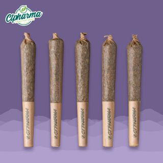 Applescotti CTPharma