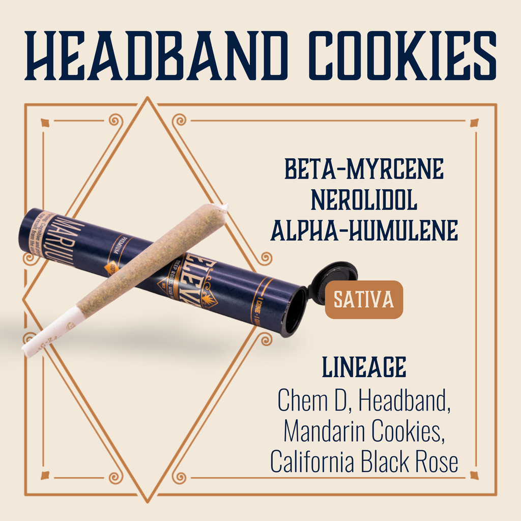 Elevate Headband Cookies Premium Nug Roll 1g