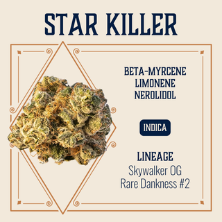 Star Killer Elevate Star Killer Elevate