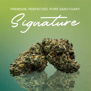 Gas Light Sanctuary Cannabis