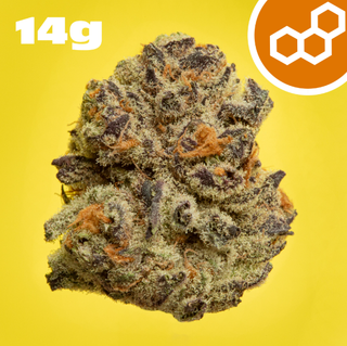 Berry Pi  Theraplant