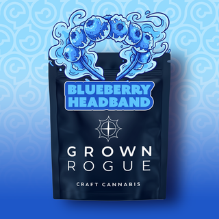 Blueberry Headband Grown Rogue