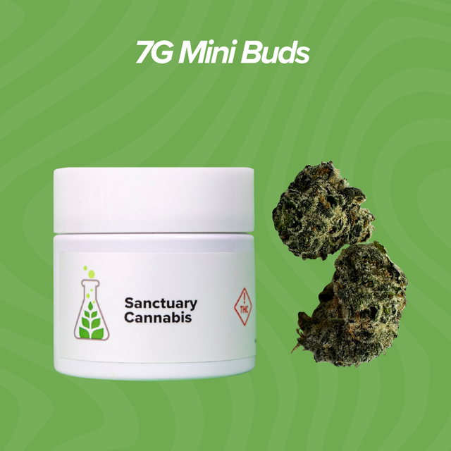 Gas Light Sanctuary Cannabis