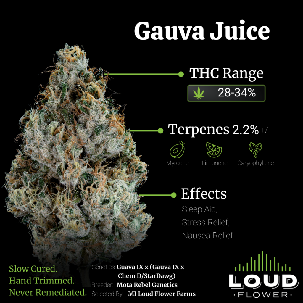Guava Juice