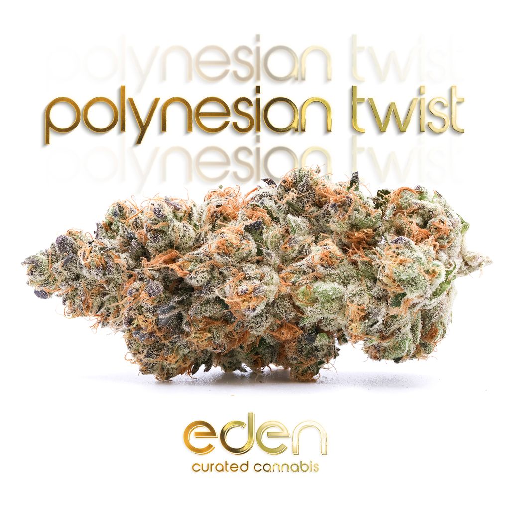 Poly Twist