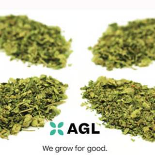 Jet Fuel  AGL