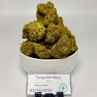 Tangerine Haze Bud Fox