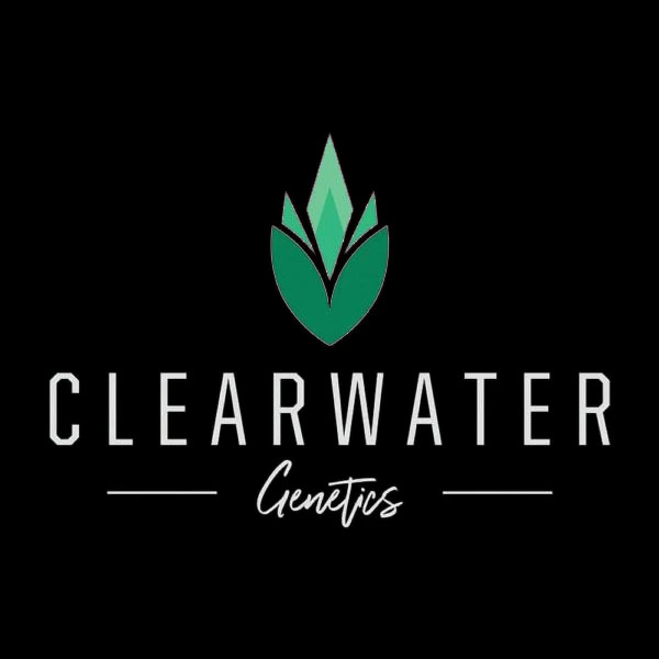 Motorbreath x Black Velvet Clearwater
