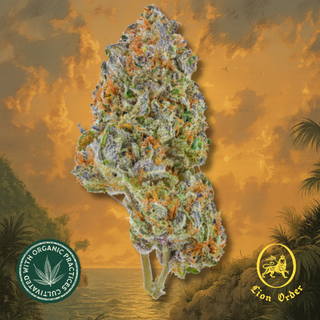 Gully Kush Lion Order