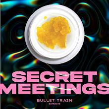 Secret Meetings