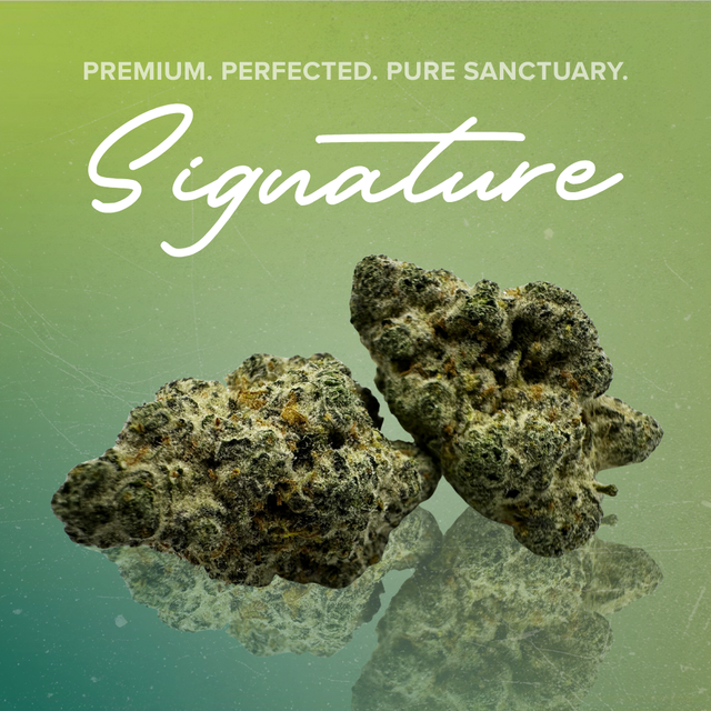 Blooberry Sanctuary Cannabis Blooberry Sanctuary Cannabis