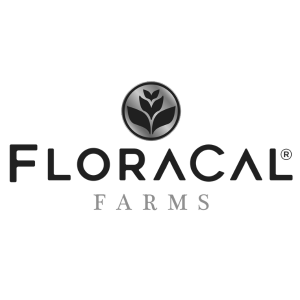 Preroll Joint 1.0g Blue Andezeee FloraCal