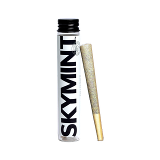 Wet Betty Skymint