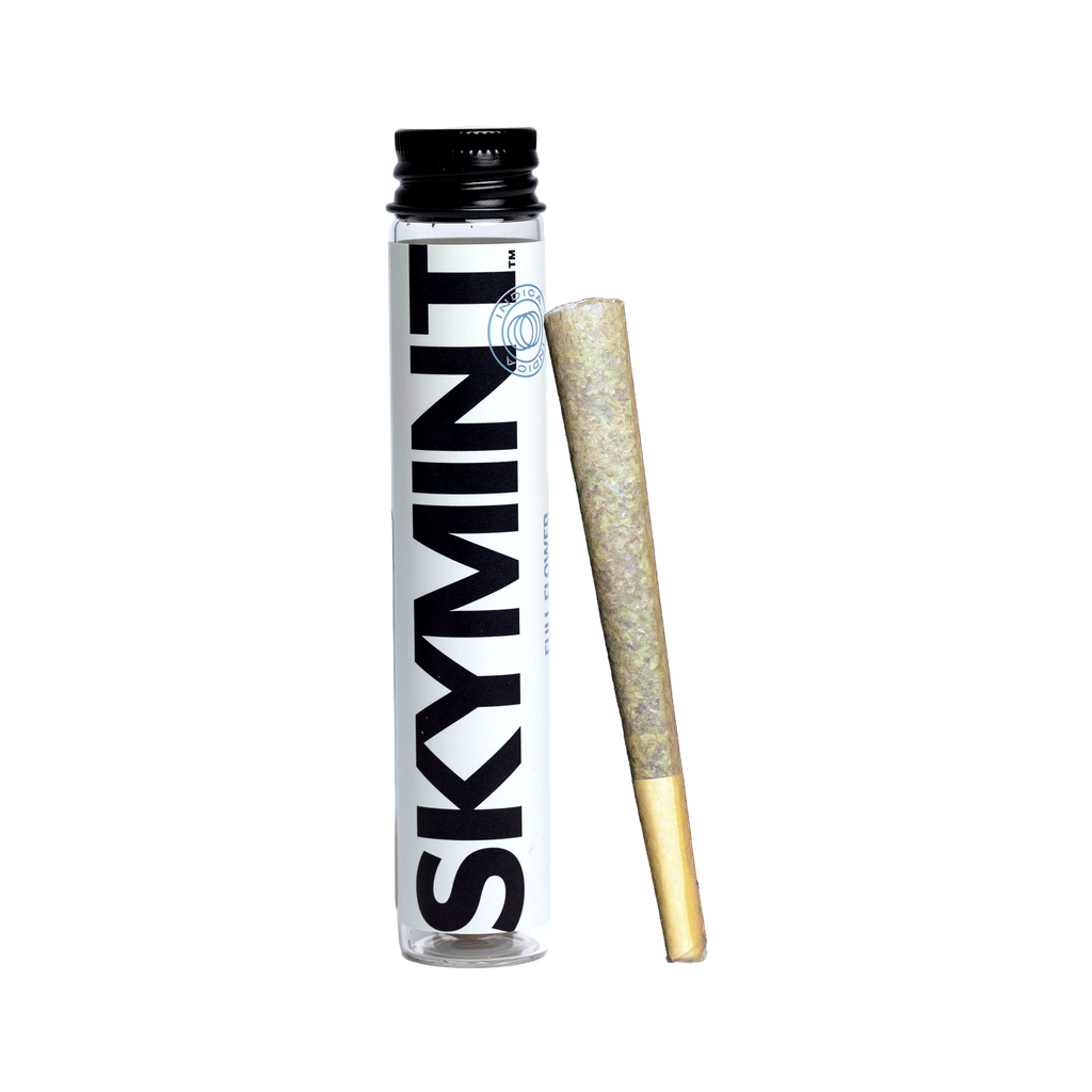 Buy Fatso Single | 1g Pre-Roll online - Skymint Portage | Portage