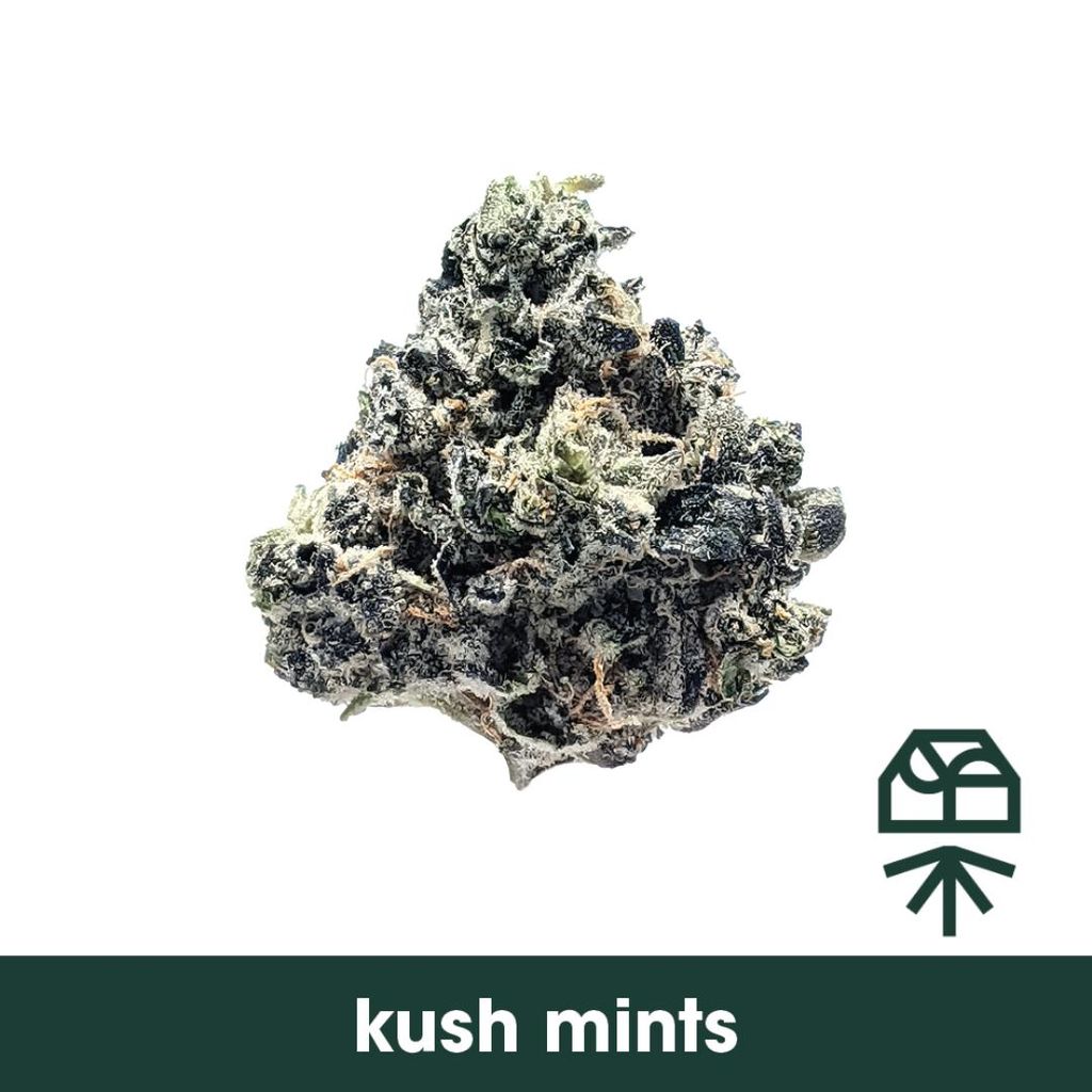 Grassroots Kush Mints Nug Roll 1g