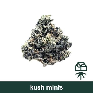 Kush Mints Grassroots