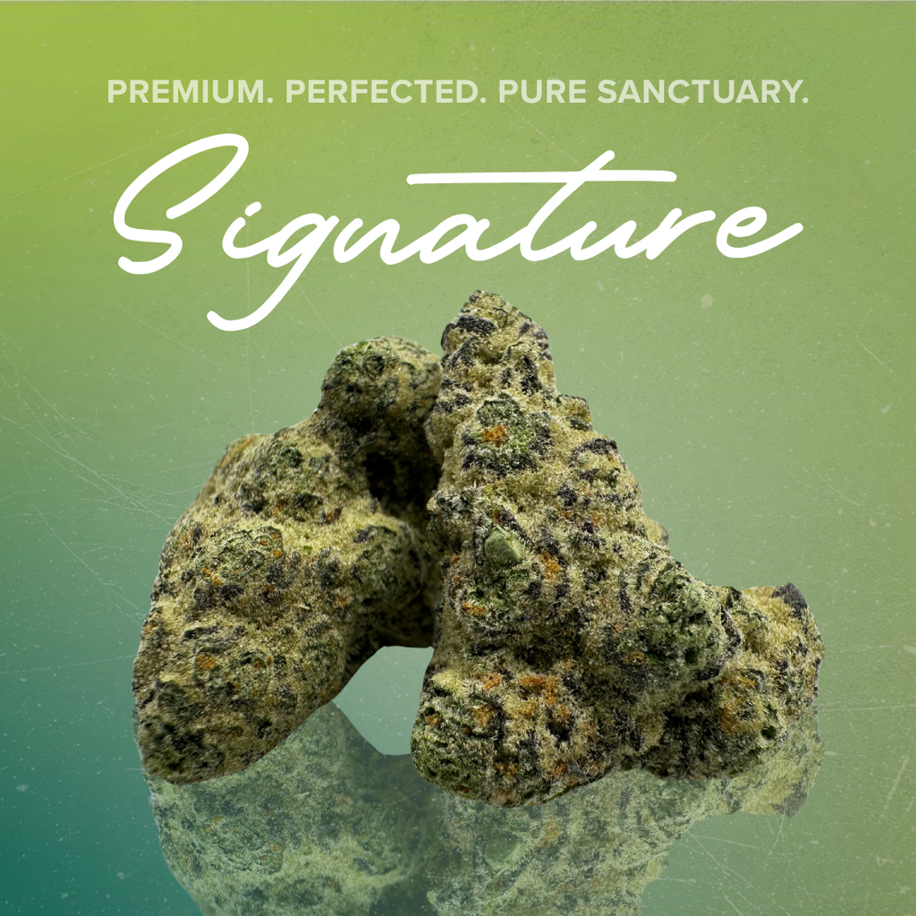 Froot Cocktail, Sanctuary Cannabis