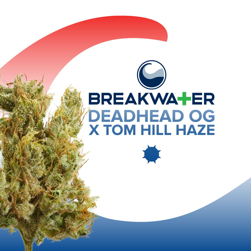 Breakwater Deadhead OG x Tom Hill Haze Flower 3.5g