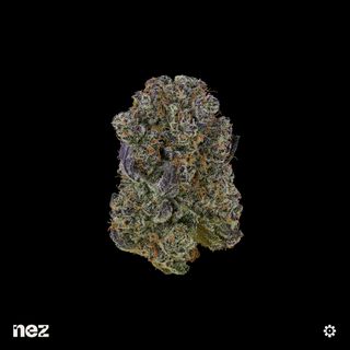 Blueberry Sugar NEZ
