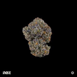 Mac Stomper NEZ