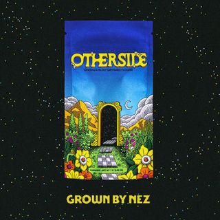 Sherb Cream Pie Otherside