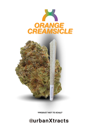 Orange Creamsicle  urbanXtracts