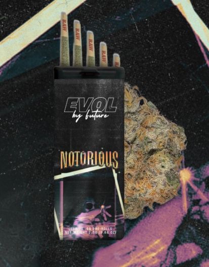 Notorious #1 EVOL