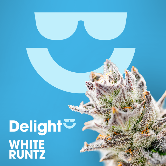 White Runtz Delight