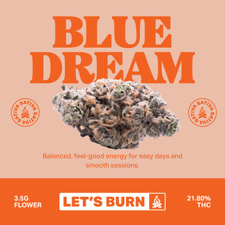 Blue Dream Let's Burn