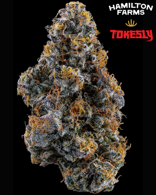 Tokesly | Kush Berry Burger  Hamilton Farms
