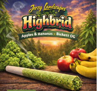 Highbrid (Apples & Bananas x Bickett OG) Jerzy Landscapes