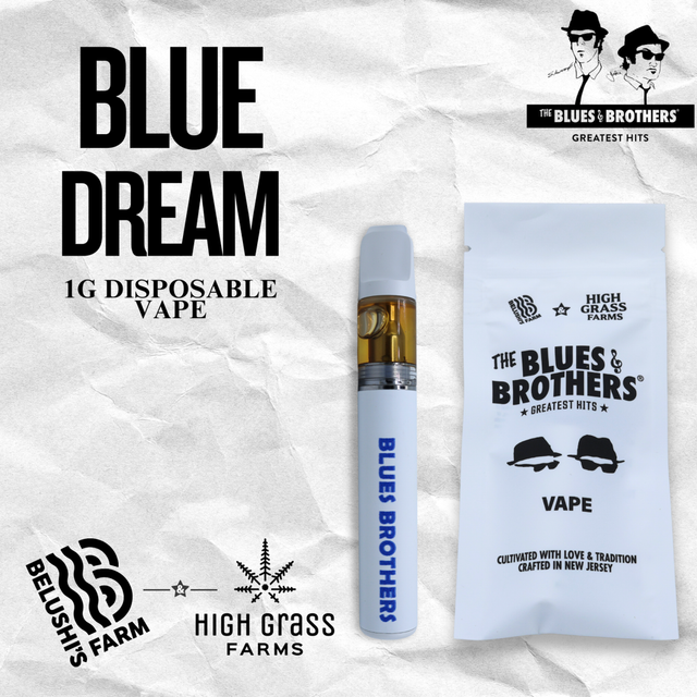 Blue Dream  The Blues Brothers
