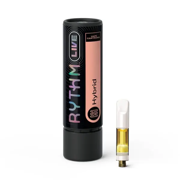 Afternoon Delight #4 Rythm