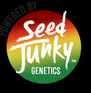 Purple Push Pop Pre-Roll Seed Junky