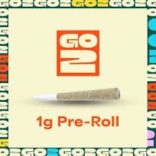 XJ-13 Go2