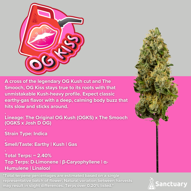 OG Kiss Sanctuary