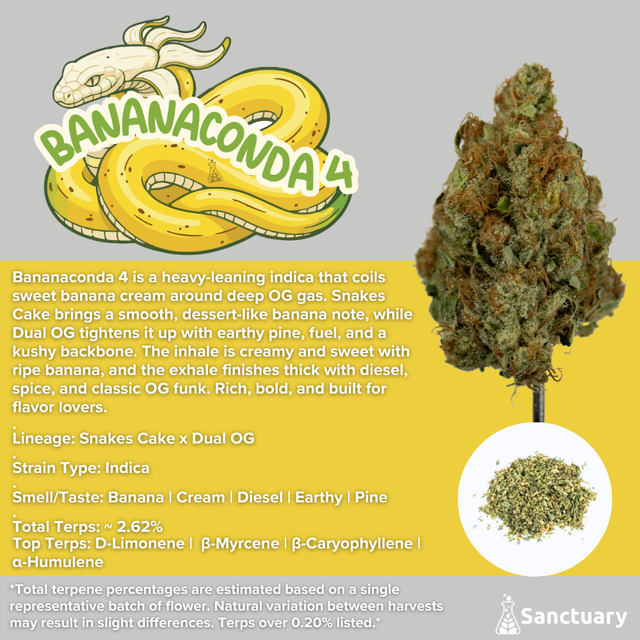 Bananaconda 4 Sanctuary