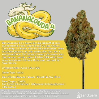 Bananaconda 4 Sanctuary