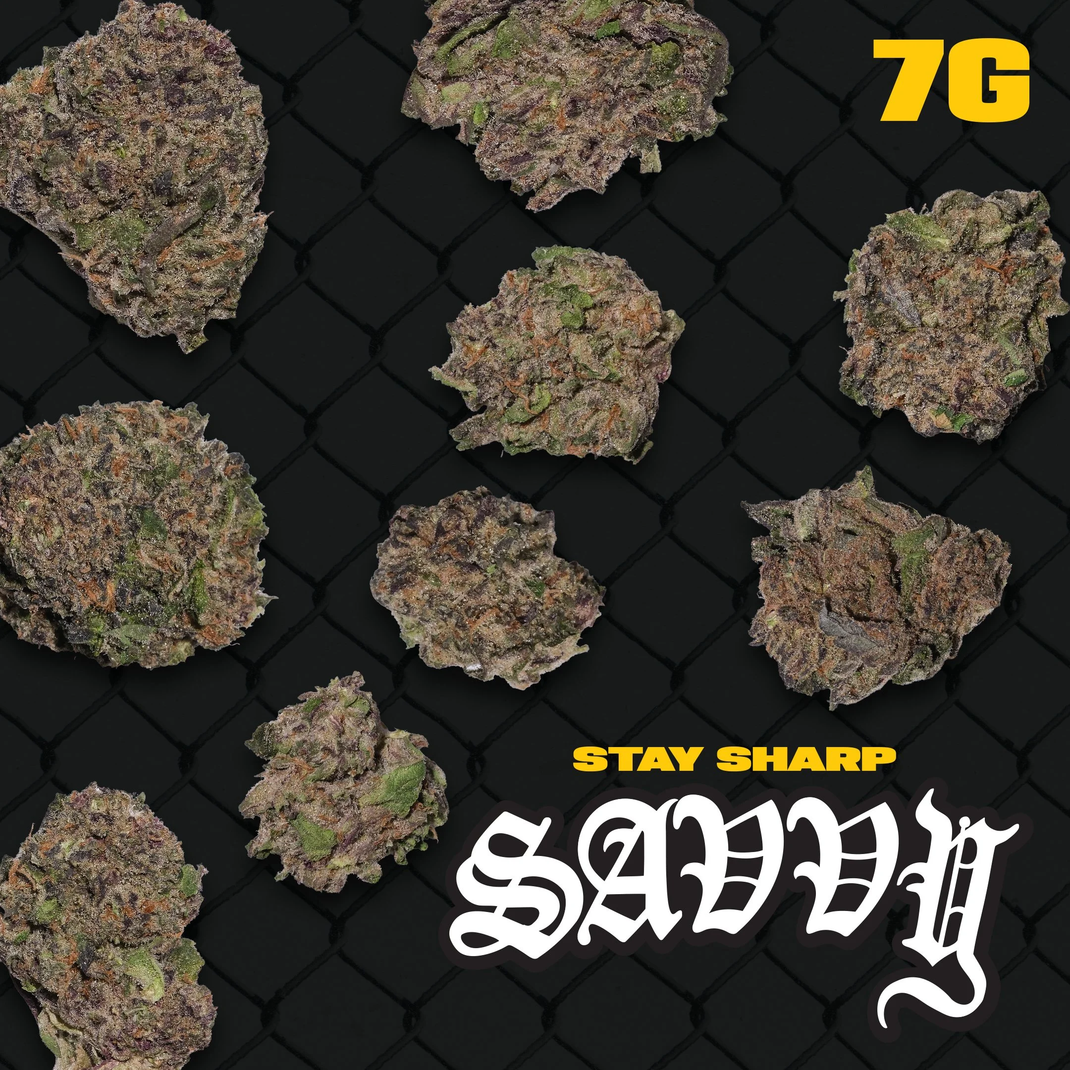 Miami Stardust  Flower Savvy