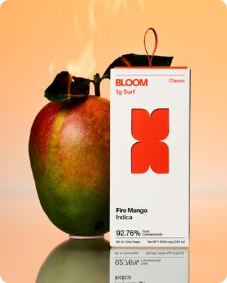  Classic Fire Mango BLOOM