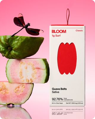 Classic Guava Belts BLOOM