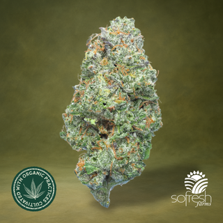 Gush Mints (23.2% THC) sofresh farms