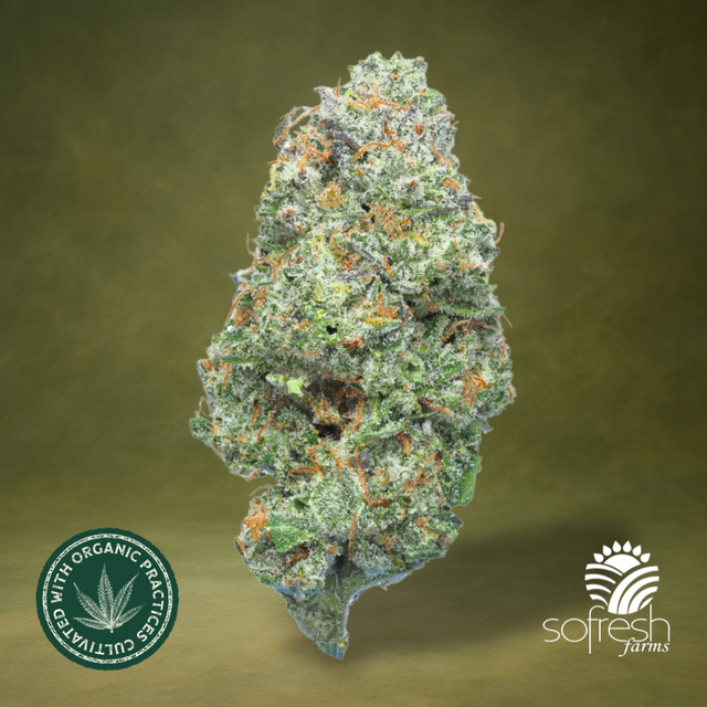 Gush Mints (23.2% THC) sofresh farms Gush Mints (23.2% THC) sofresh farms