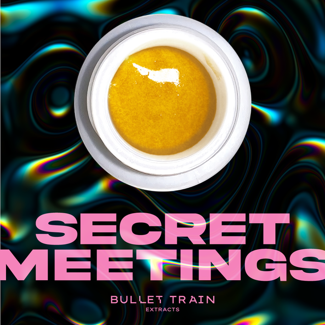 Secret Meetings Live Bullet Train