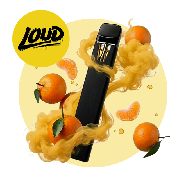 Clementine Loud